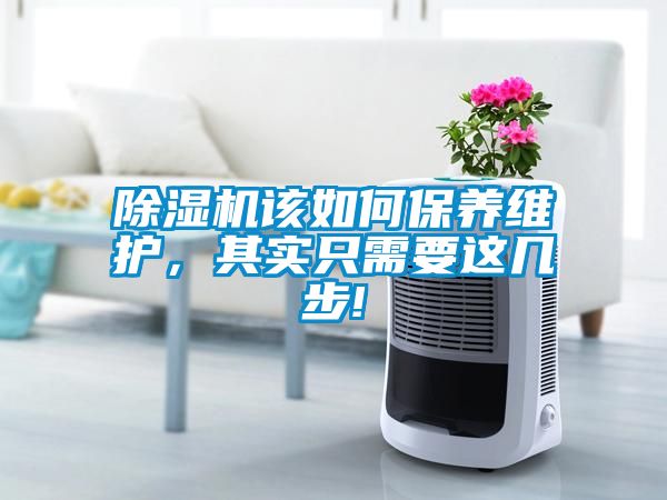 除濕機該如何保養維護，其實只需要這幾步!