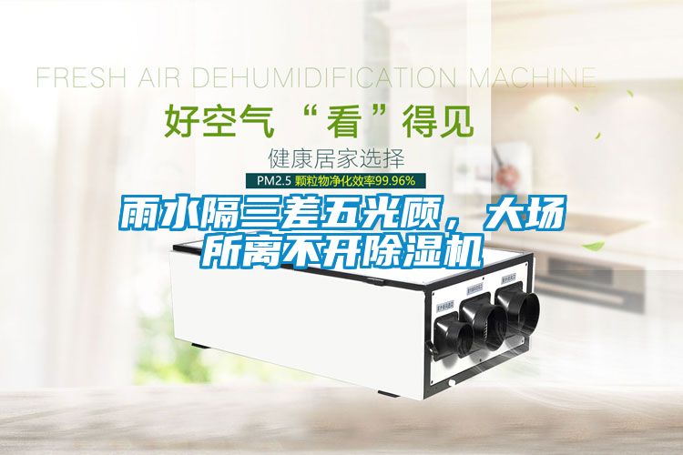 雨水隔三差五光顧，大場所離不開除濕機
