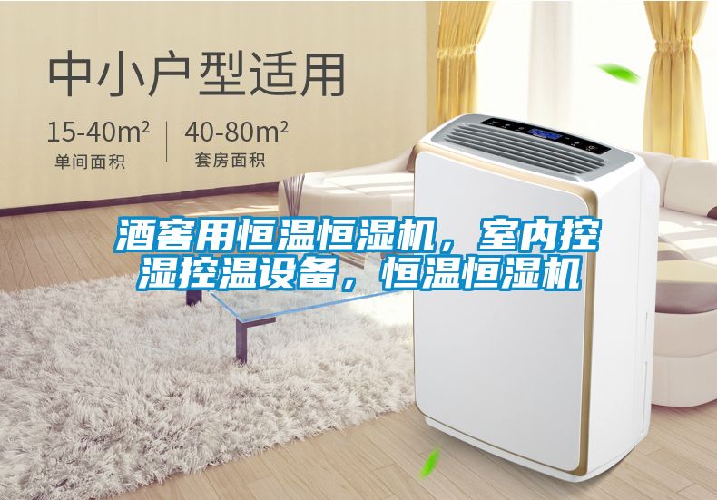 酒窖用恒溫恒濕機，室內控濕控溫設備，恒溫恒濕機