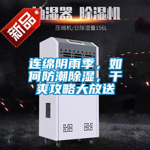 連綿陰雨季，如何防潮除濕，干爽攻略大放送