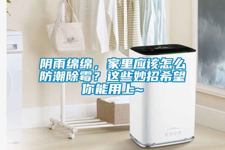 陰雨綿綿，家里應該怎么防潮除霉？這些妙招希望你能用上~