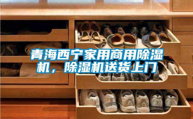 青海西寧家用商用除濕機(jī)，除濕機(jī)送貨上門