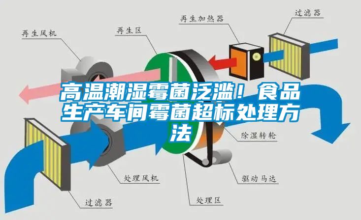 高溫潮濕霉菌泛濫！食品生產(chǎn)車間霉菌超標處理方法