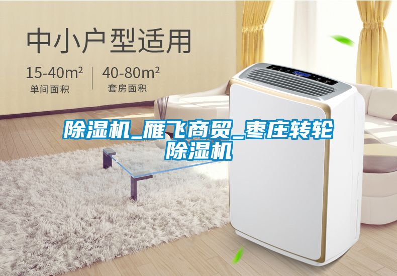 除濕機_雁飛商貿(mào)_棗莊轉(zhuǎn)輪除濕機
